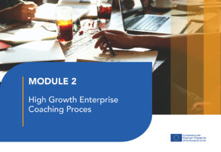 LJ2: High Growth Enterprise Coaching proces